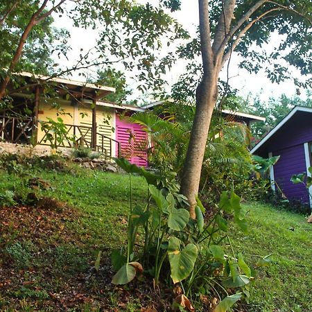 Hotel Winíka Alterra Palenque Exterior foto