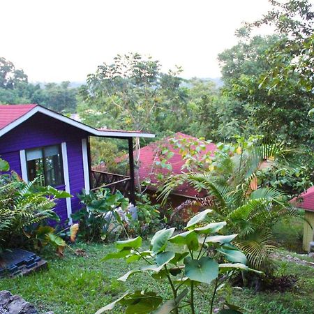 Hotel Winíka Alterra Palenque Exterior foto